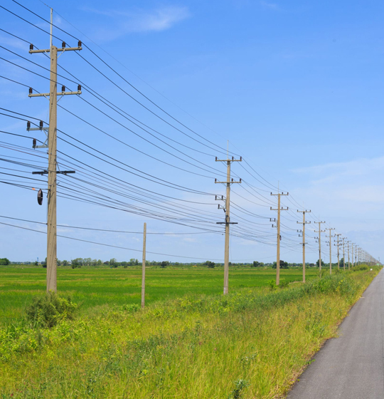 electrical distribution line work